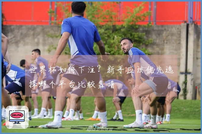 世界杯如何下注?新手应该优先选择哪个平台比较靠谱